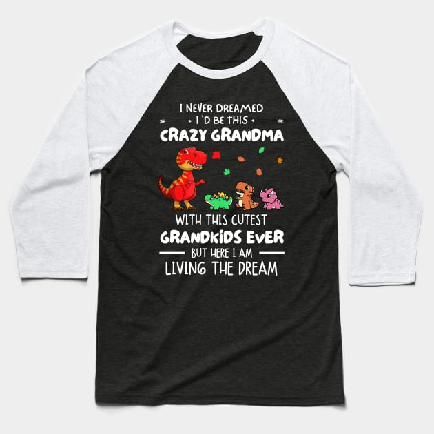 I Never Dreamed I'd Be This Crazy Grandma With The Cutest Grandkids Ever Baseball T-Shirt by JustBeSatisfied